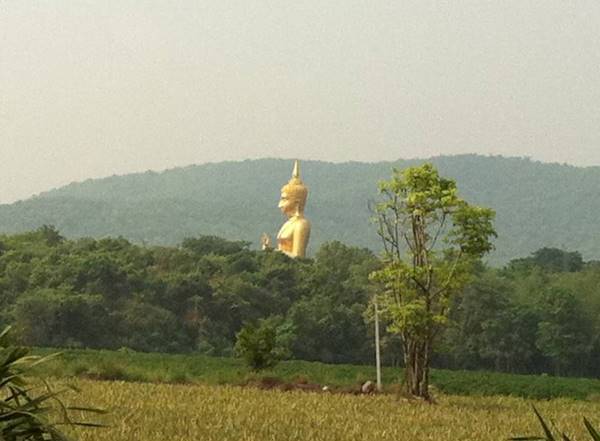 ขายที่ดิน อำเภอบ้านไร่ จังหวัดอุทัยธานี 8 ไร่ เป็นที่บนเนินเขา วิวเขาล้อม ติดถนนสาธารณะ น้ำประปา